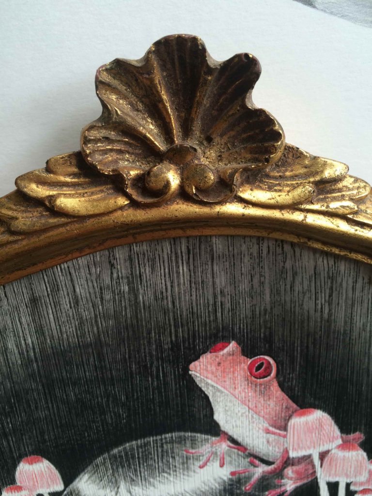 seforapons-acrylics-graphite-colouredpencils-symbiosis-pink-frog-mushroom-kaeruchan-5